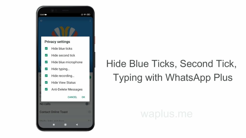 Hide Blue Ticks, Second Tick, Typing on WhatsApp Plus