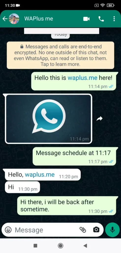 WhatsApp Plus S3 novo