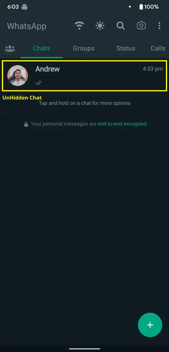 Unhide Chats in WhatsApp Plus S3